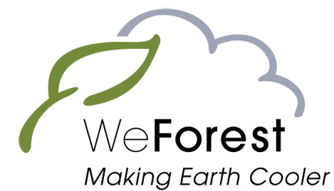 We Forest: Cloud Forest